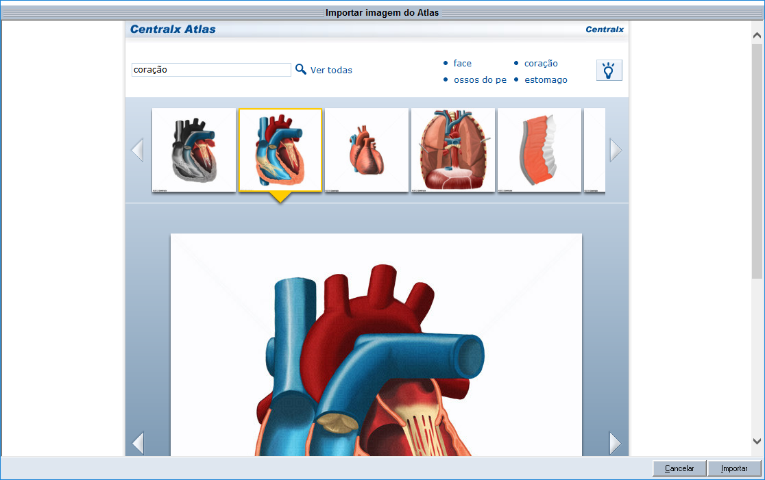 Atlas do Corpo Humano