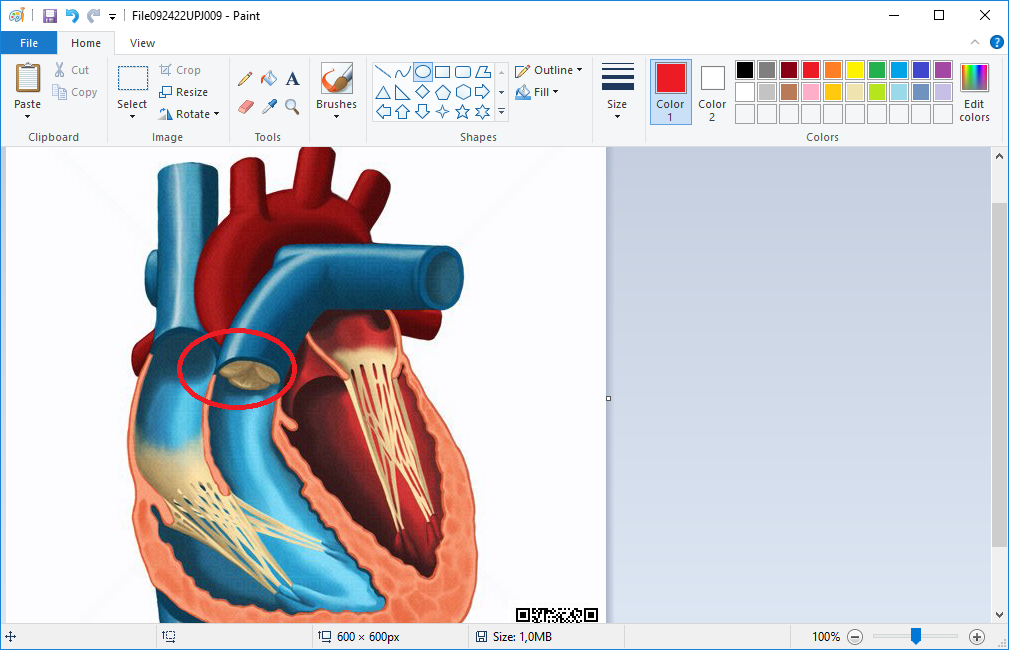 Edi&ccedil;&atilde;o de imagem