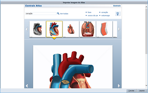 Atlas do Corpo Humano